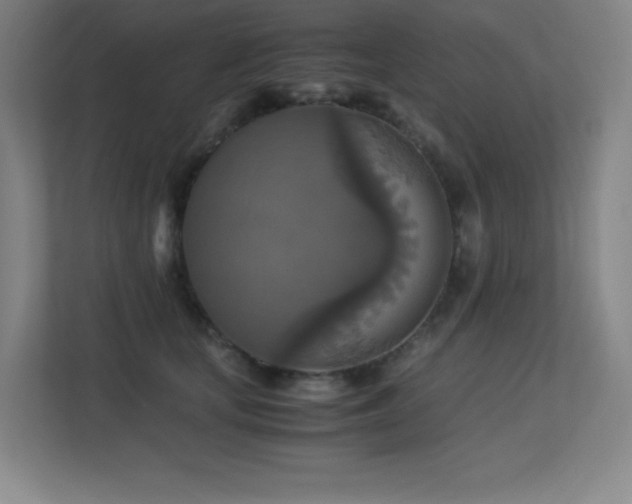 X0000113250659200909101429