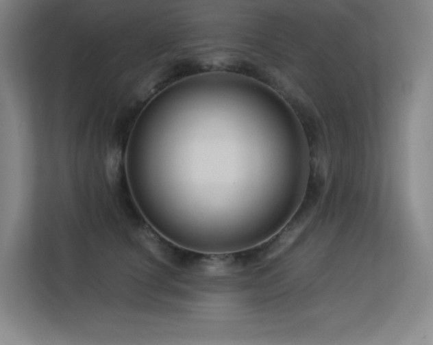 X0000113250660200909101429