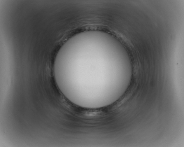 X0000113250661200909101429