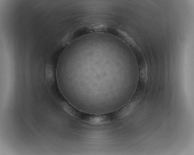 X0000113250662200909101429