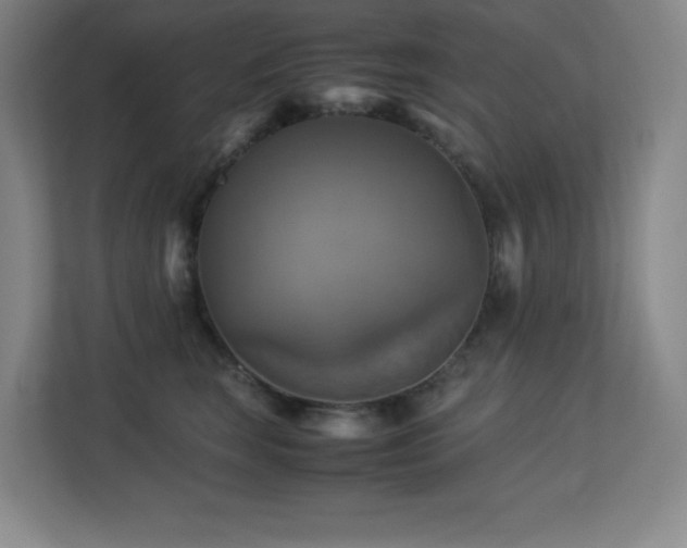 X0000113250663200909101429