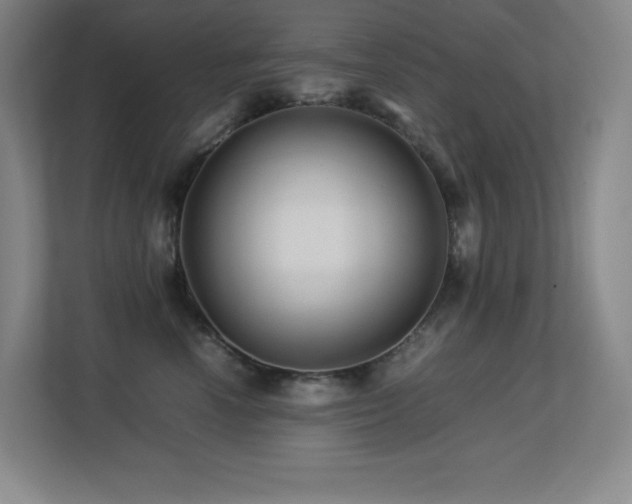 X0000113250666200909101429