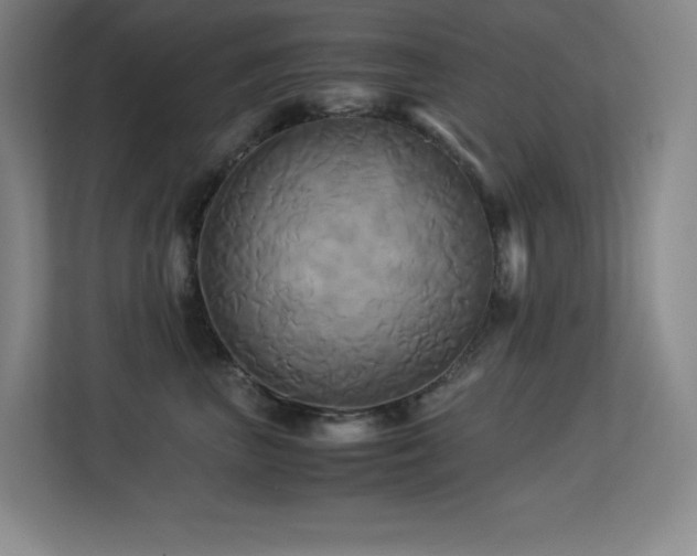 X0000113250667200909101429