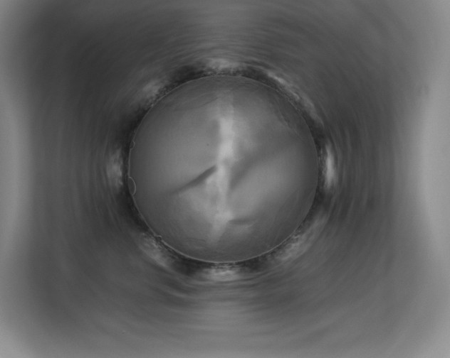 X0000113250668200909101429