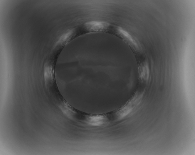 X0000113250669200909101429
