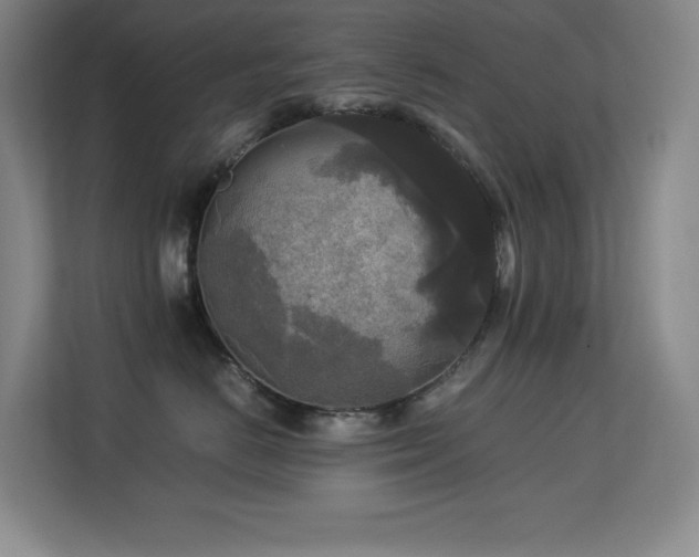 X0000113250670200909101429