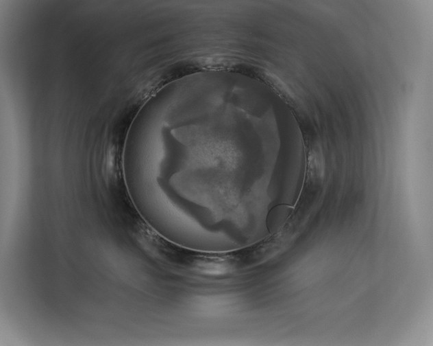 X0000113250671200909101429