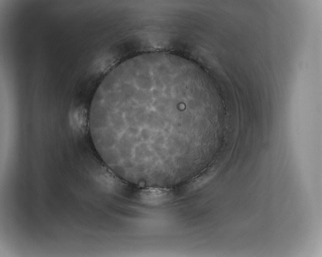 X0000113250672200909101429