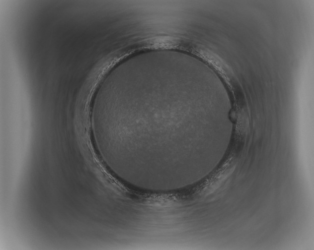 X0000113250673200909101429