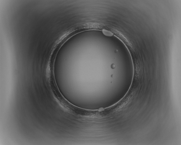 X0000113250674200909101429