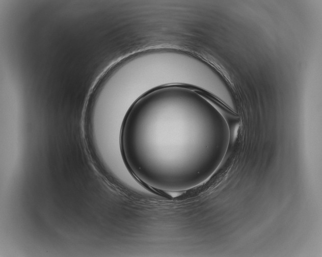 X0000113250676200909101429