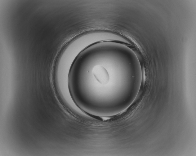 X0000113250677200909101429