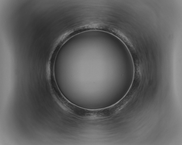 X0000113250678200909101429