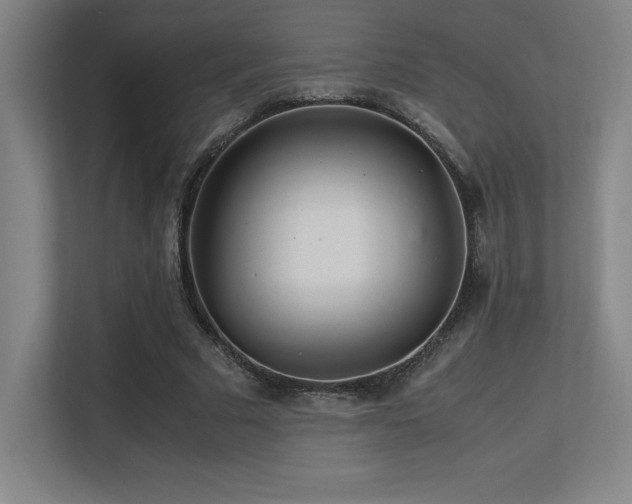 X0000113250681200909101429