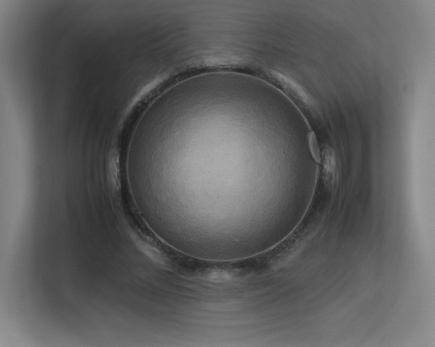 X0000113250684200909101429