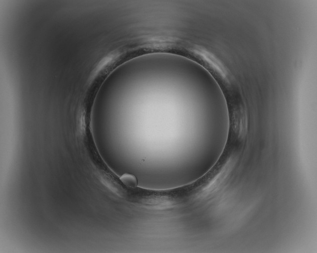 X0000113250685200909101429