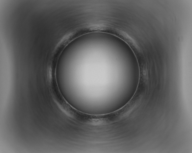 X0000113250686200909101429