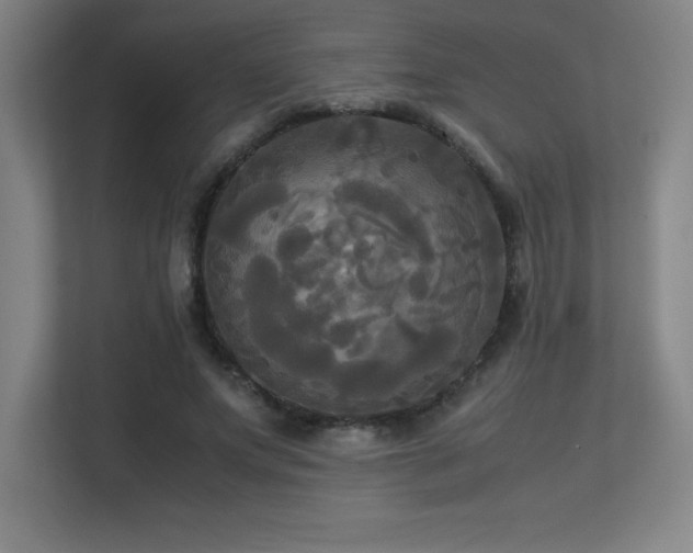 X0000113250687200909101429