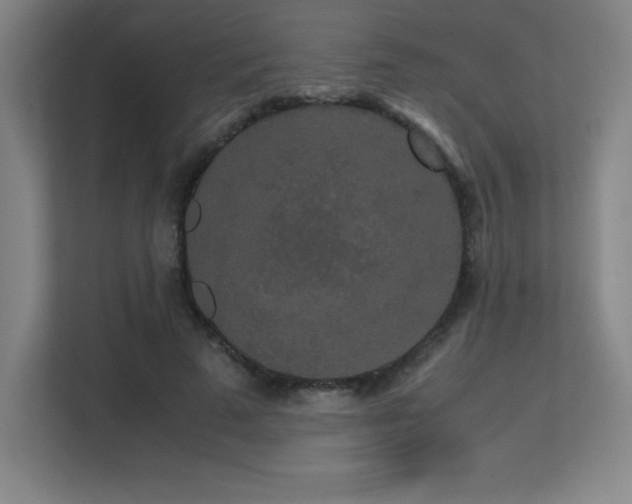 X0000113250689200909101429