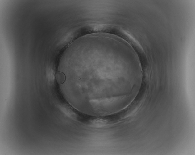 X0000113250691200909101429