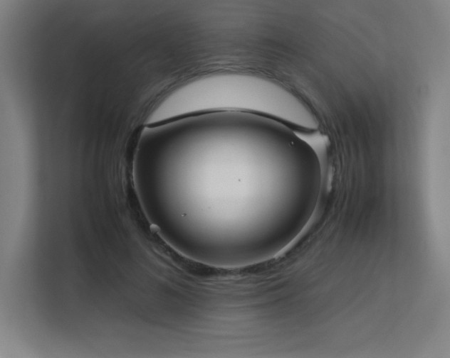 X0000113250692200909101428