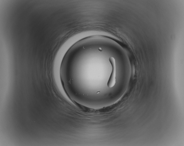 X0000113250693200909101428