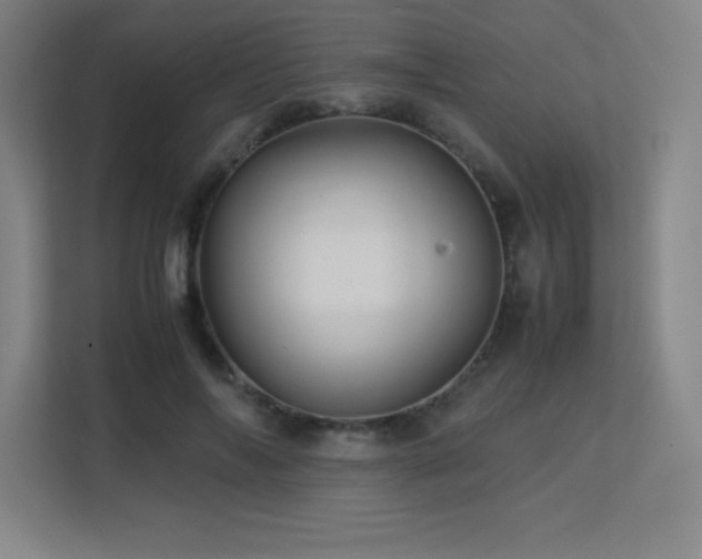 X0000113250694200909101428