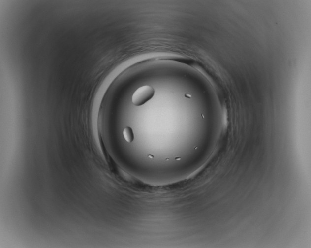 X0000113250696200909101428