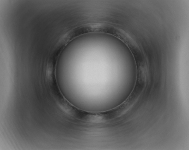 X0000113250698200909101428