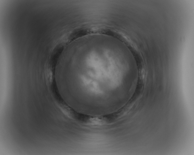 X0000113250703200909101428