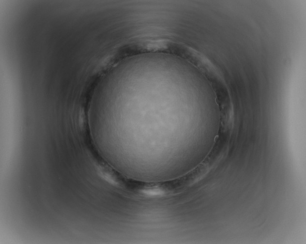 X0000113250704200909101428