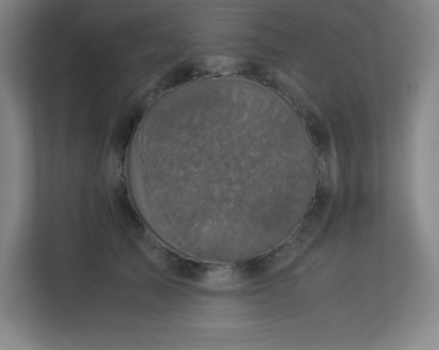 X0000113250705200909101428
