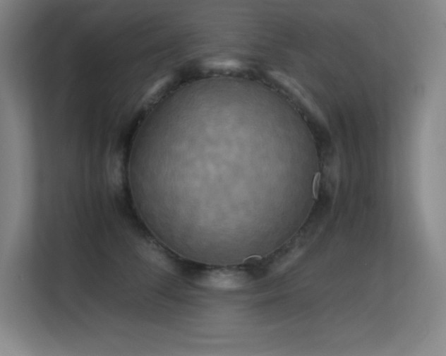 X0000113250708200909101428
