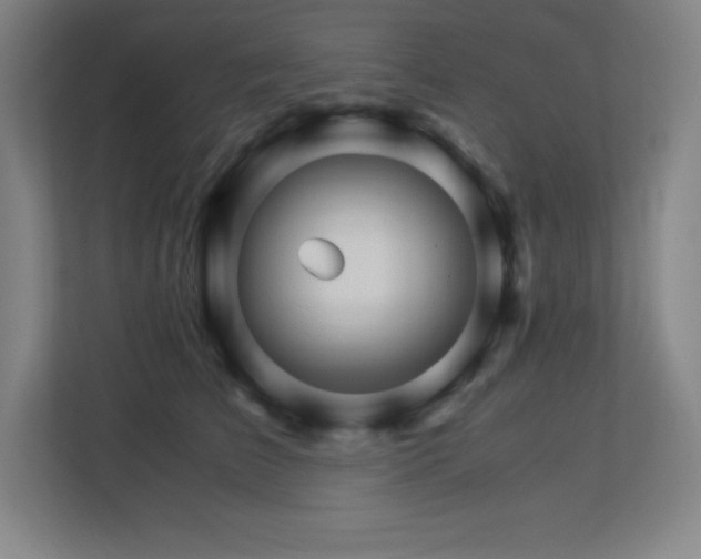 X0000113250709200909101428