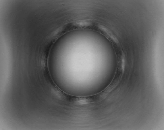 X0000113250710200909101428