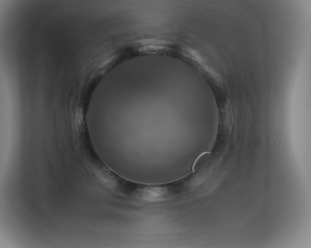 X0000113250711200909101428