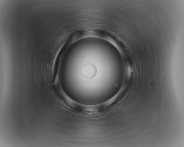 X0000113250716200909101428
