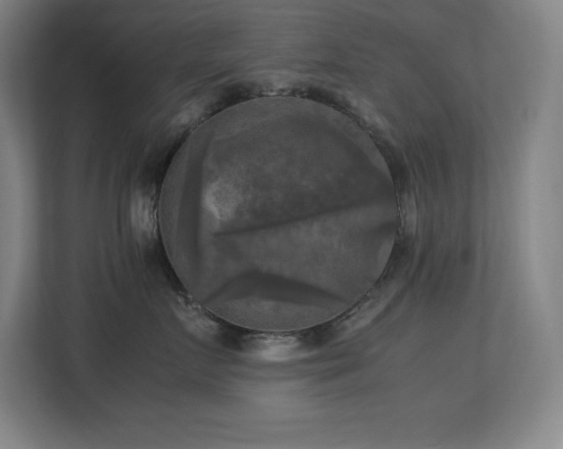 X0000113250719200909101428