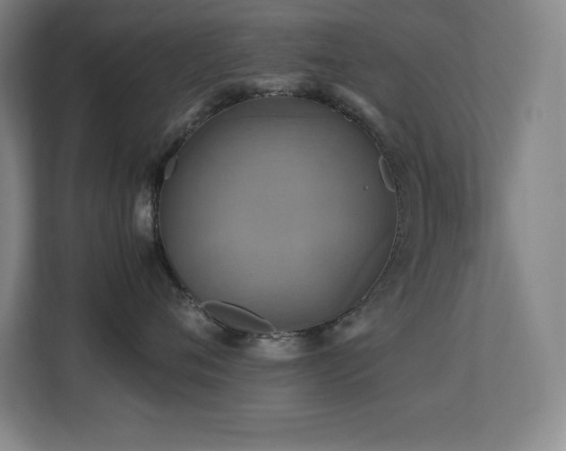X0000113250720200909101428