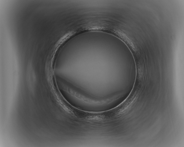 X0000113250721200909101427