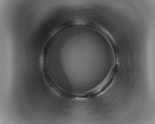 X0000113250722200909101428