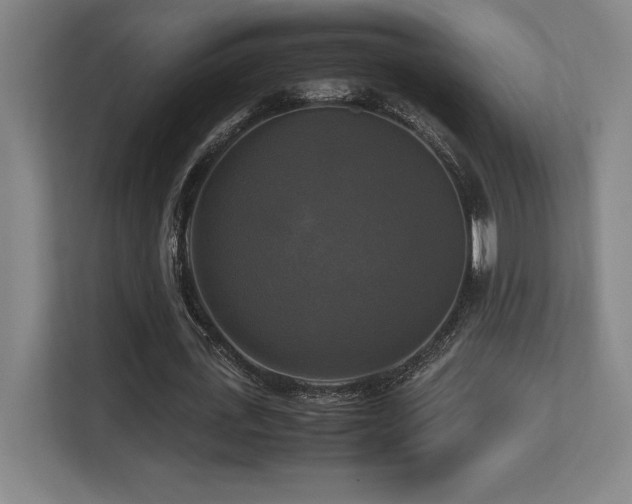 X0000113250723200909101428