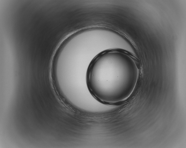 X0000113250724200909101428
