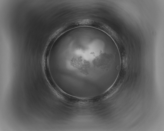 X0000113250725200909101428