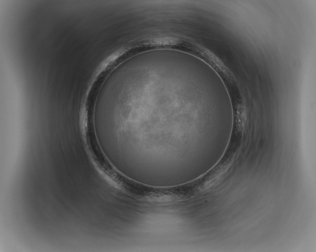 X0000113250726200909101428