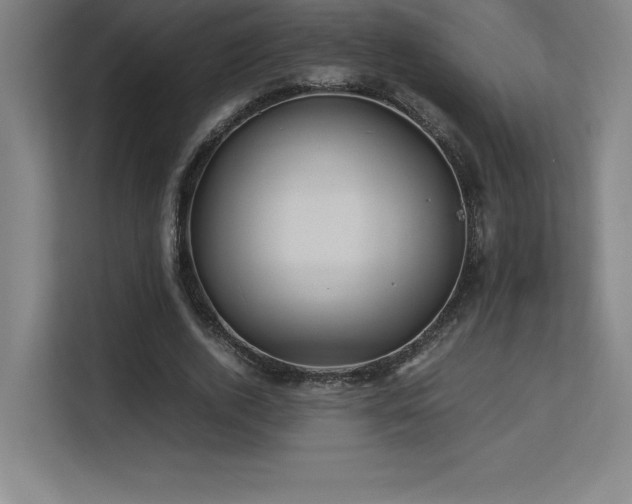 X0000113250728200909101428