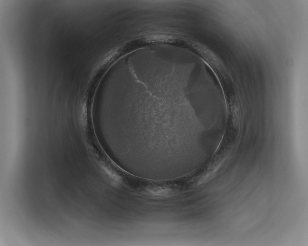 X0000113250729200909101428