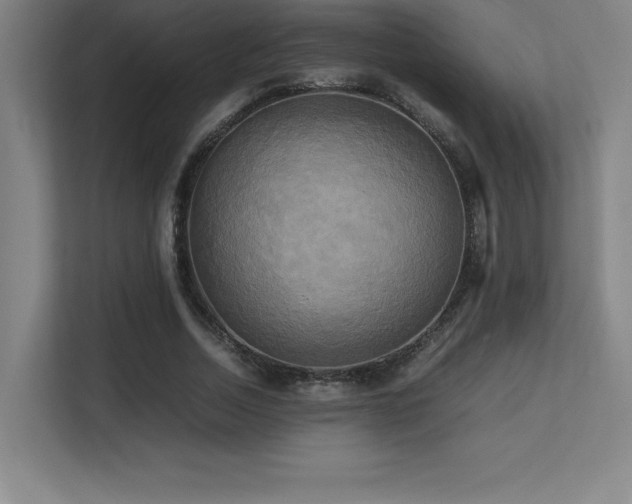 X0000113250730200909101428