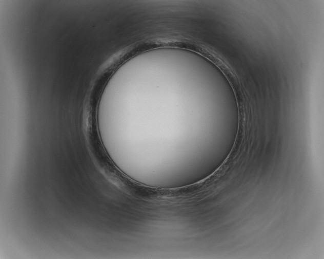 X0000113250732200909101428