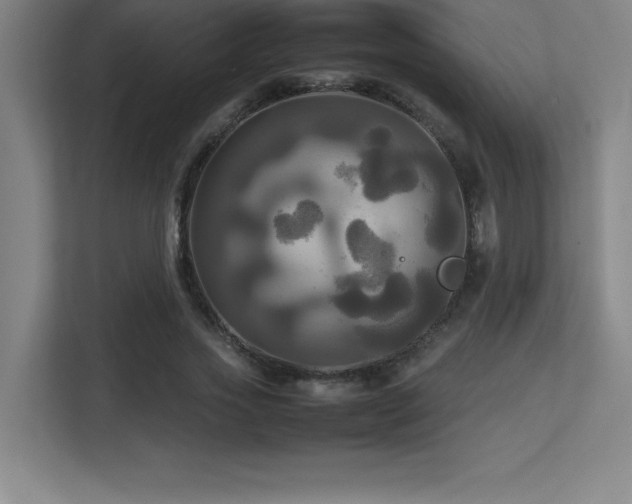 X0000113250733200909101428